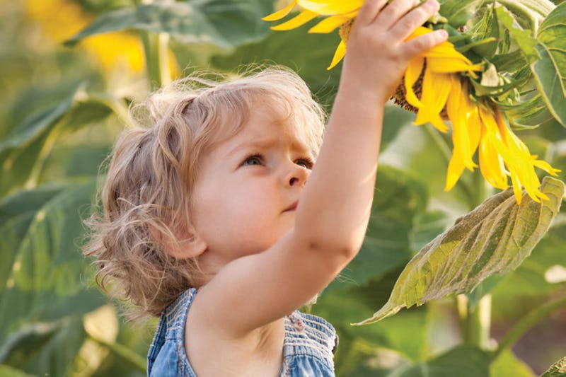 Probiotische reinigingsmiddelen steeds populairder