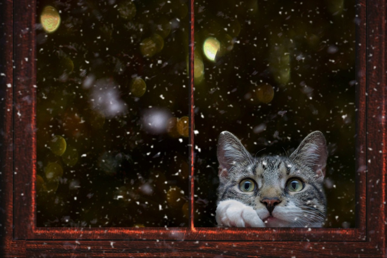 Moet een glazenwasser werken als het sneeuwt of stormt?