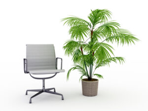 planten op kantoor