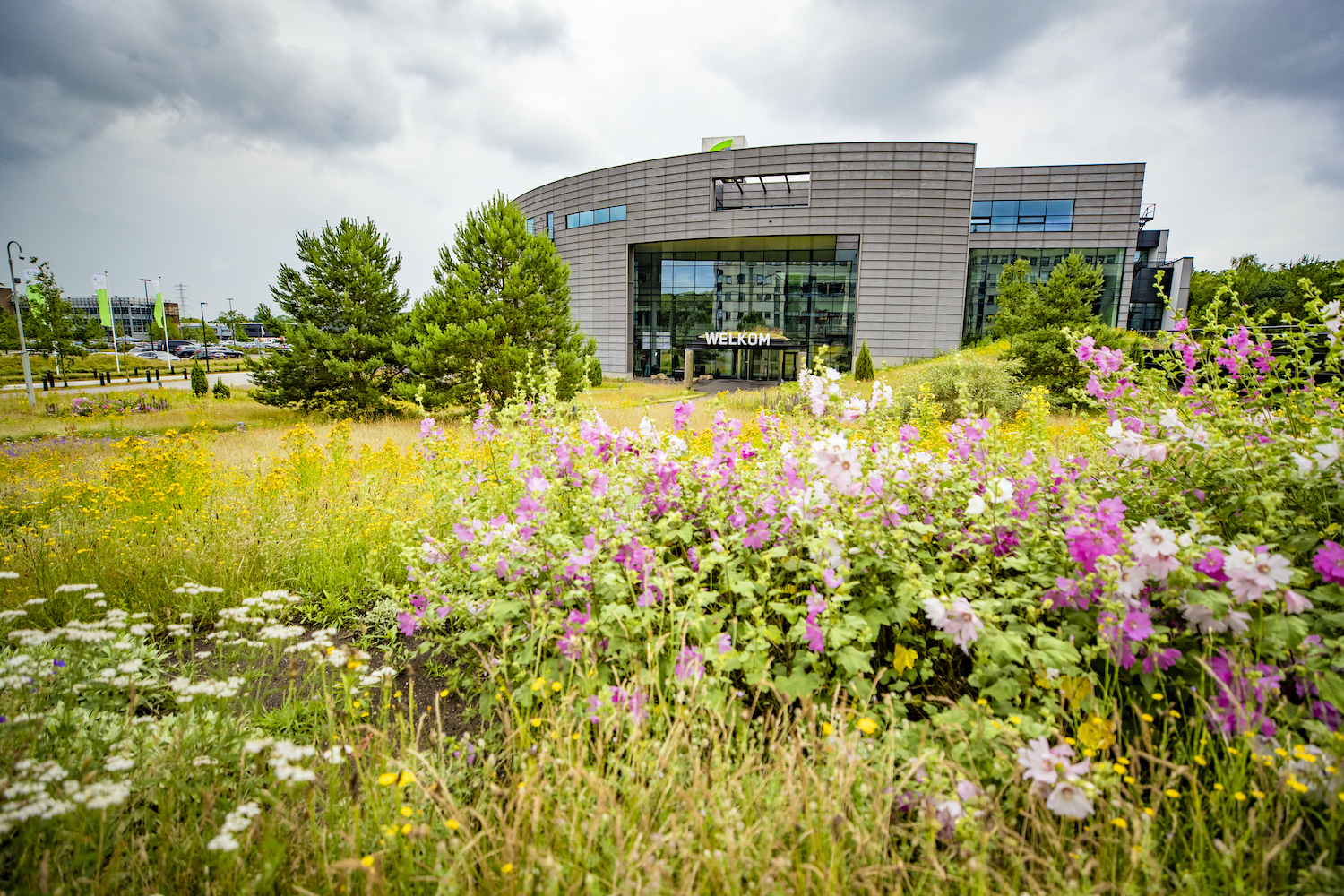 Kantoor Achmea in Apeldoorn (Foto: Rob Voss)
