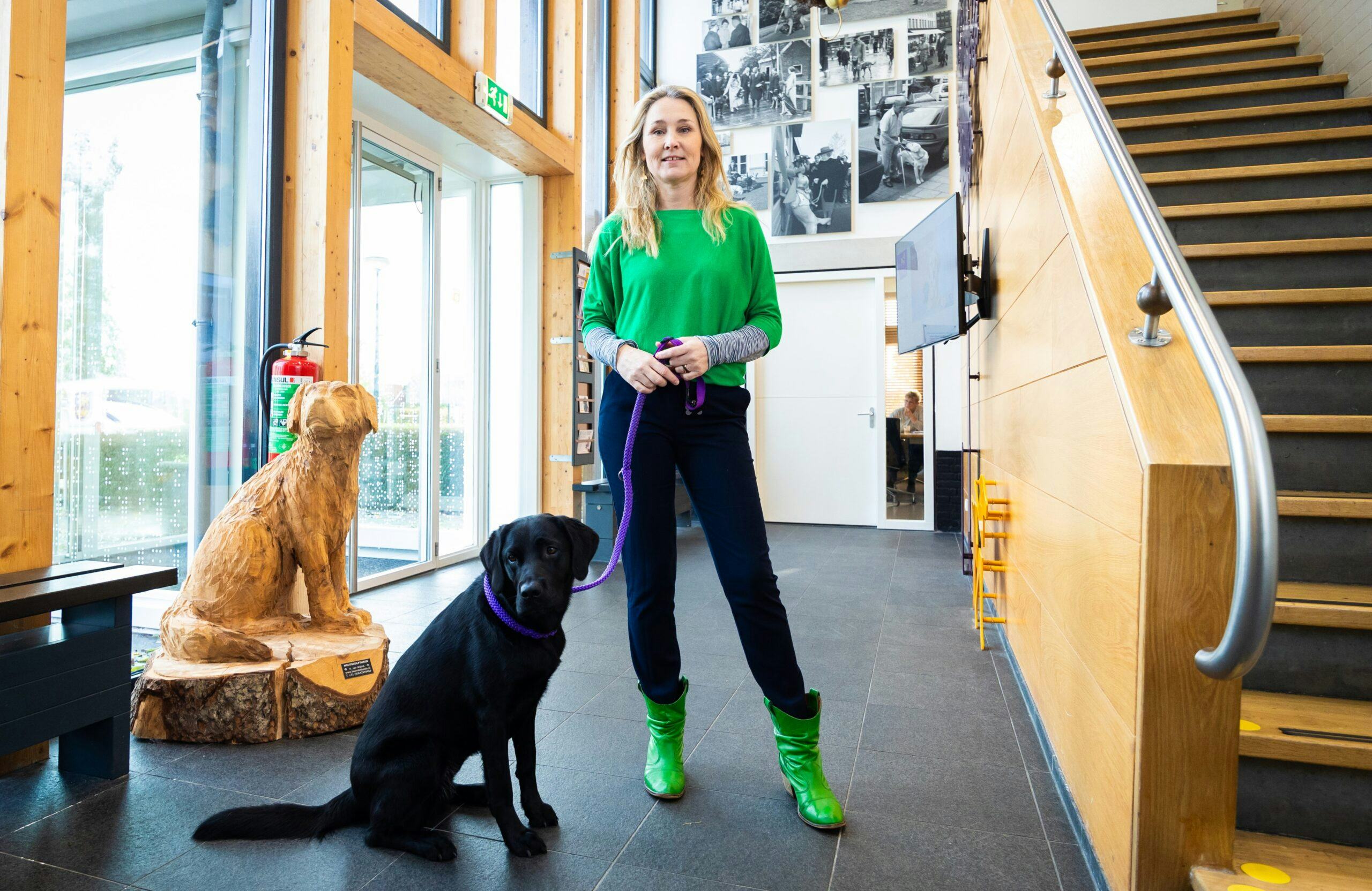 Werkplek reserveren? Dan ook de hondenmand