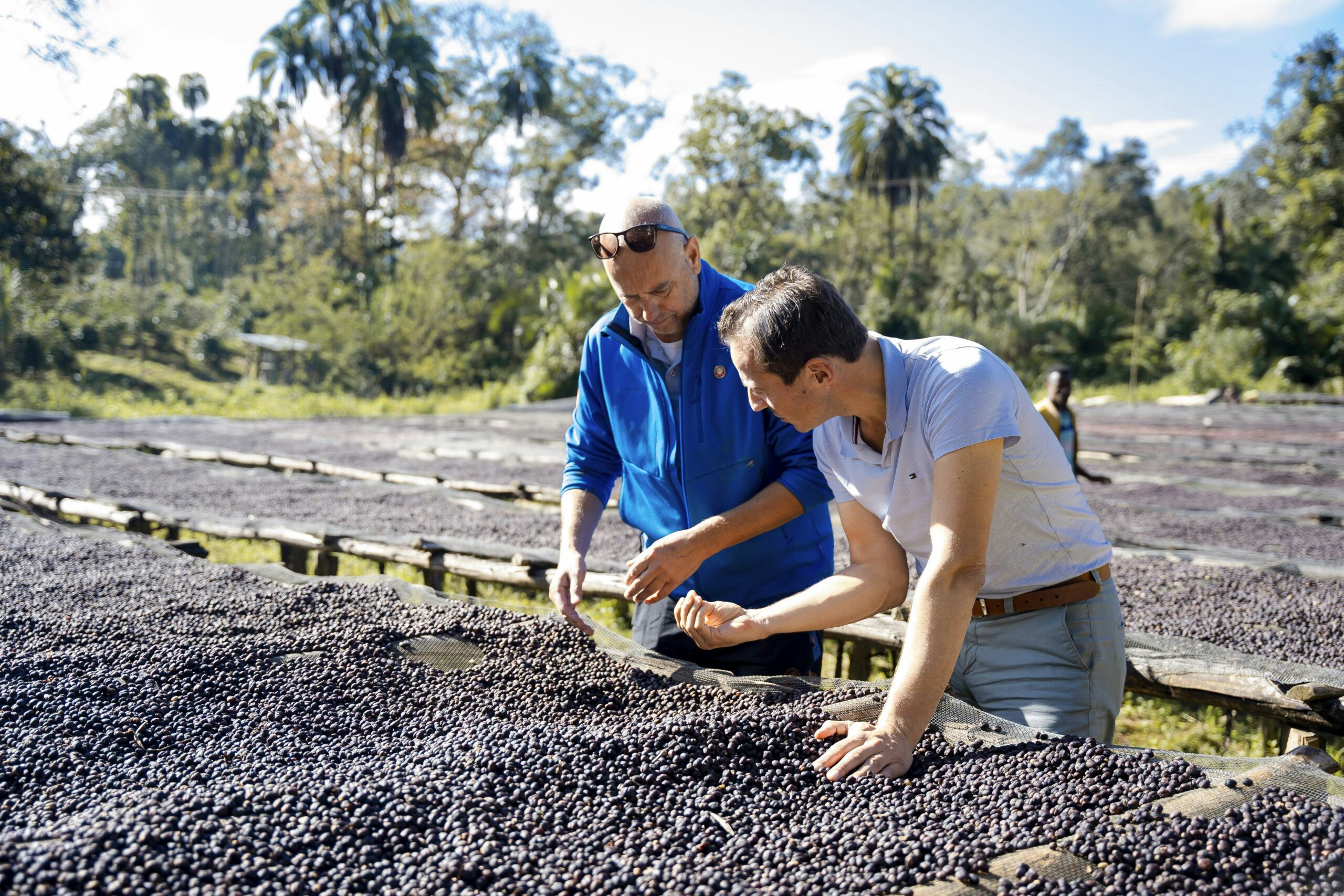 Bedrijven omarmen CO₂-reductie: De verborgen impact van koffie