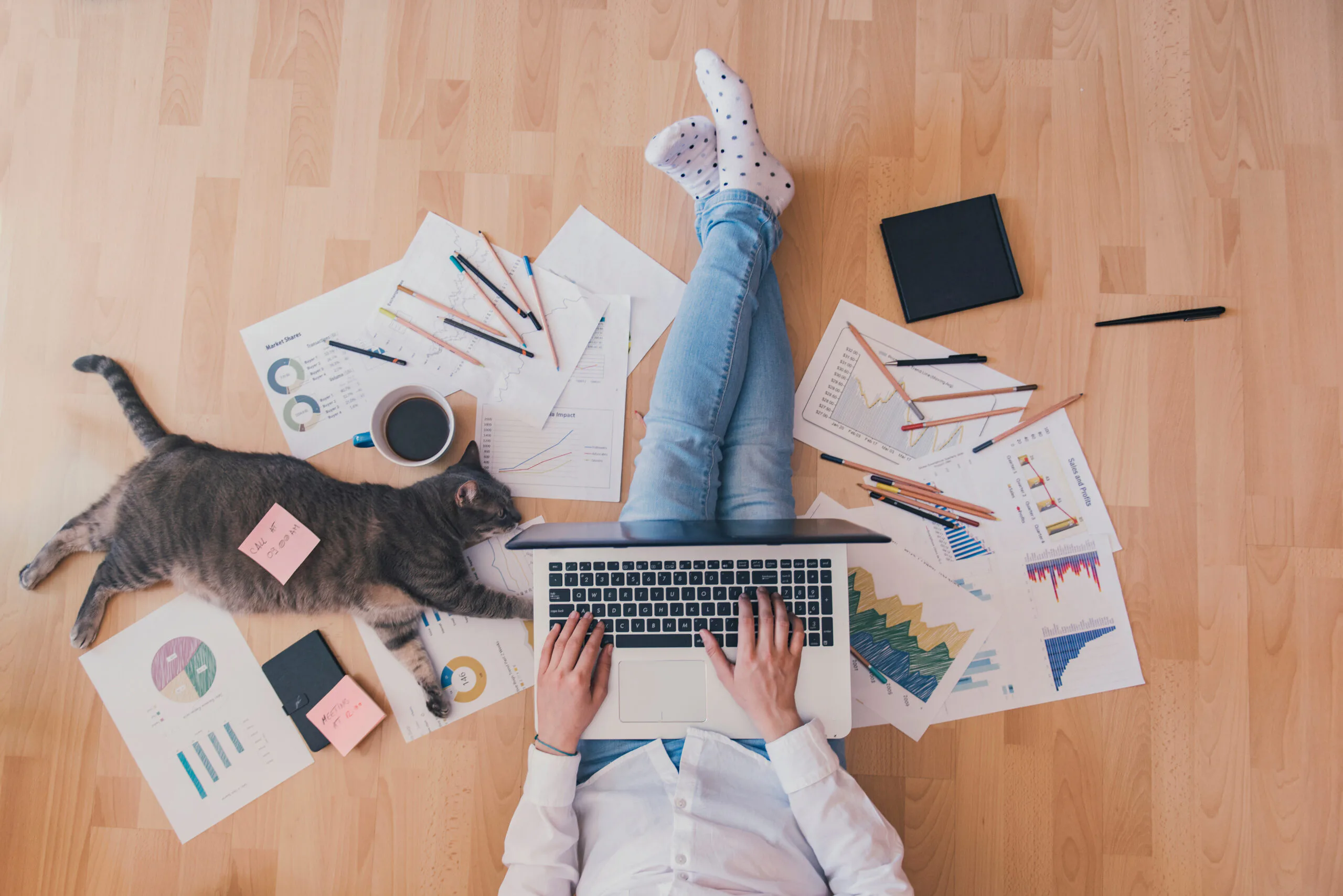 Lees hier het hele artikel: