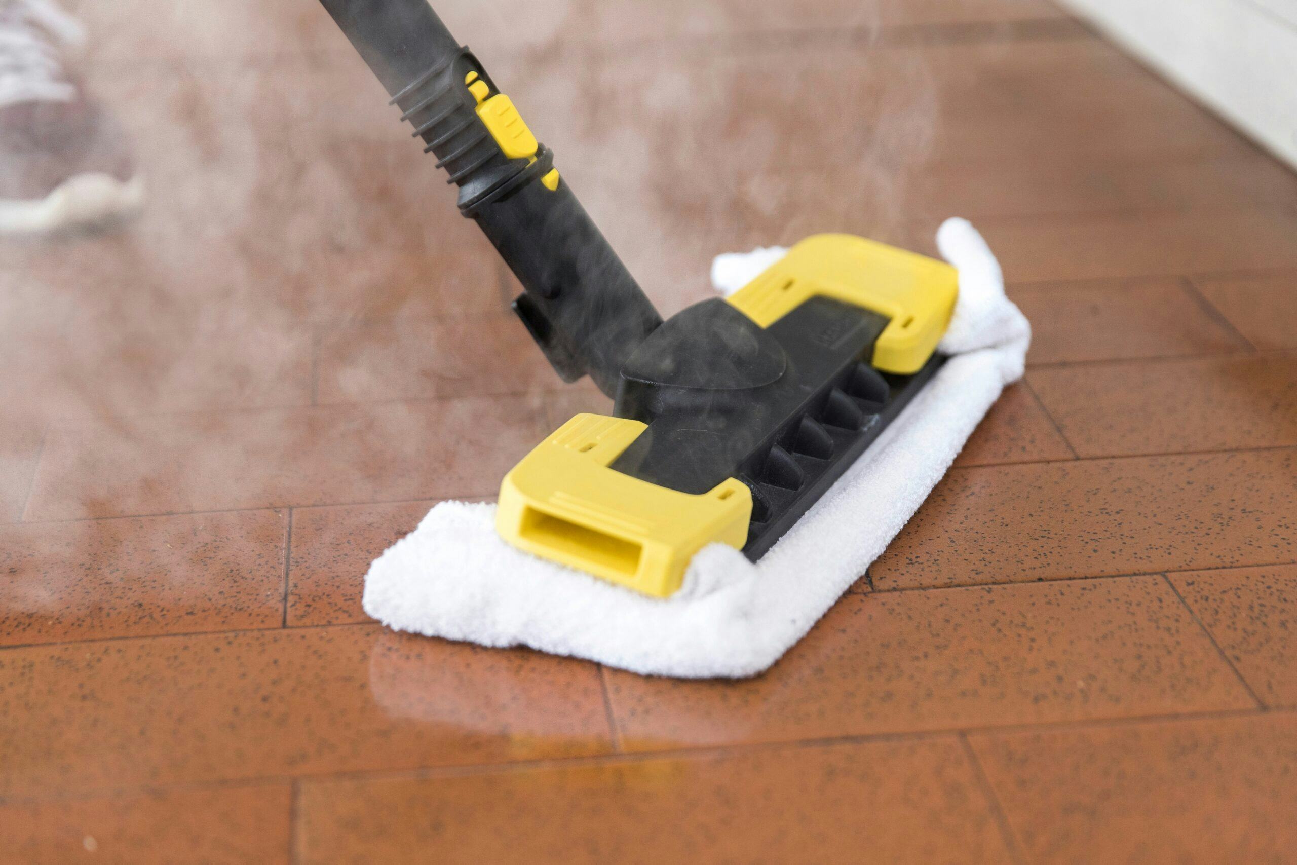 Bedwantsen? Gebruik stoomreinigers en stoomzuigers van Kärcher