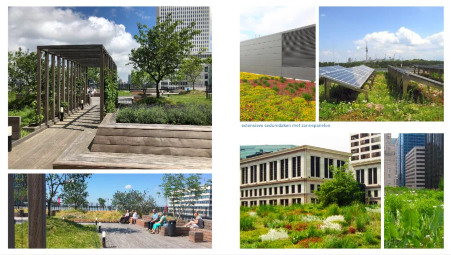 Lees het artikel hier: