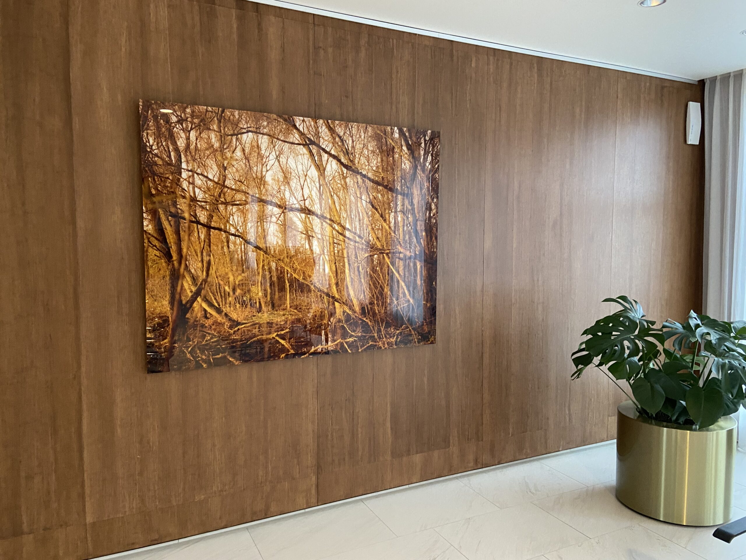 Foto in het kantoor van PwC uit de collectie Heden / Today van Martin Effert. Beeld: Christijn Groeneveld