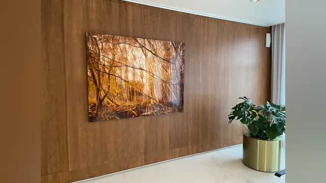 Foto in het kantoor van PwC uit de collectie Heden / Today van Martin Effert. Beeld: Christijn Groeneveld