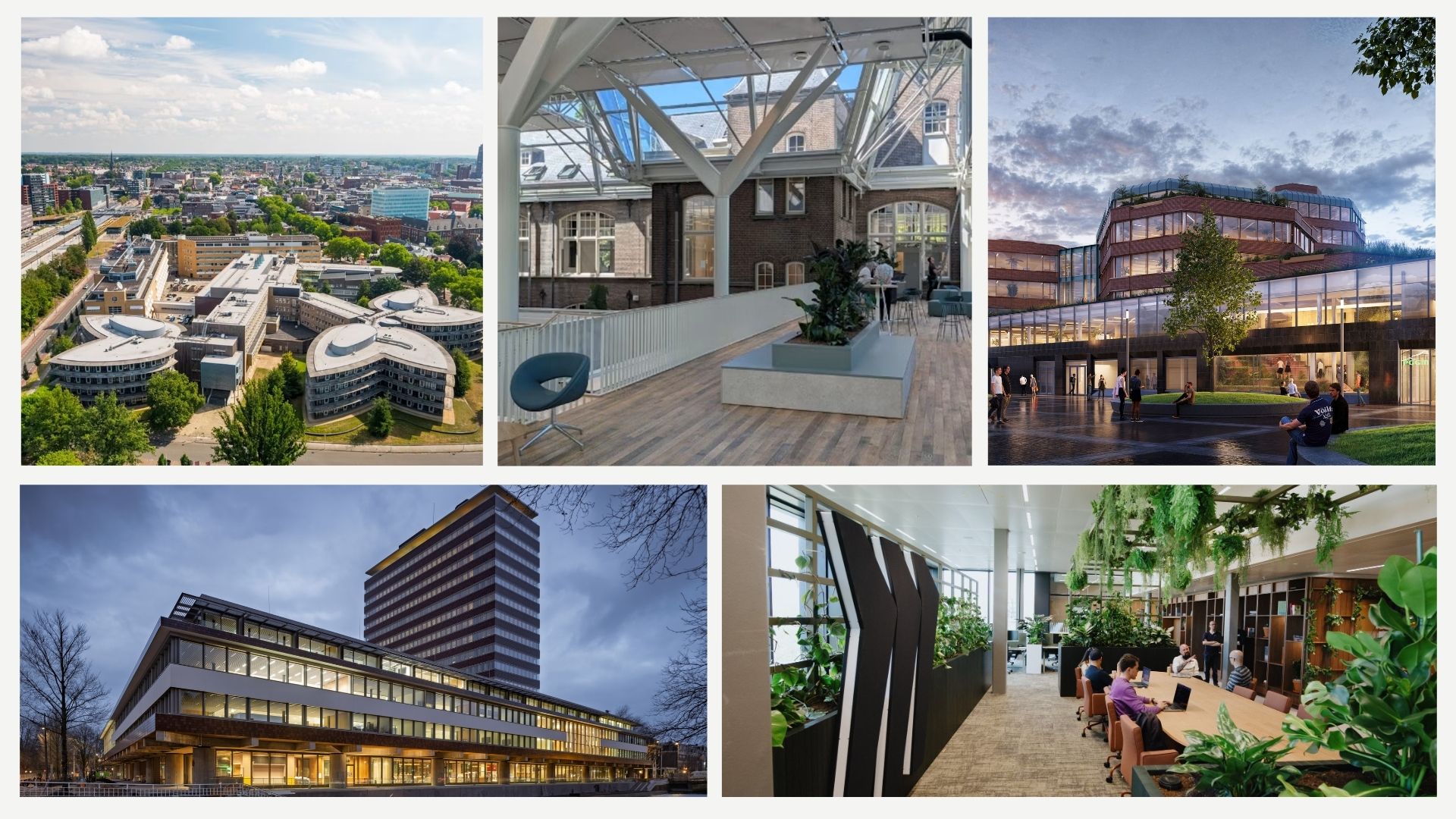 Beeld: Ingrid van den Berg, Miro, Ossip van Duivenbode