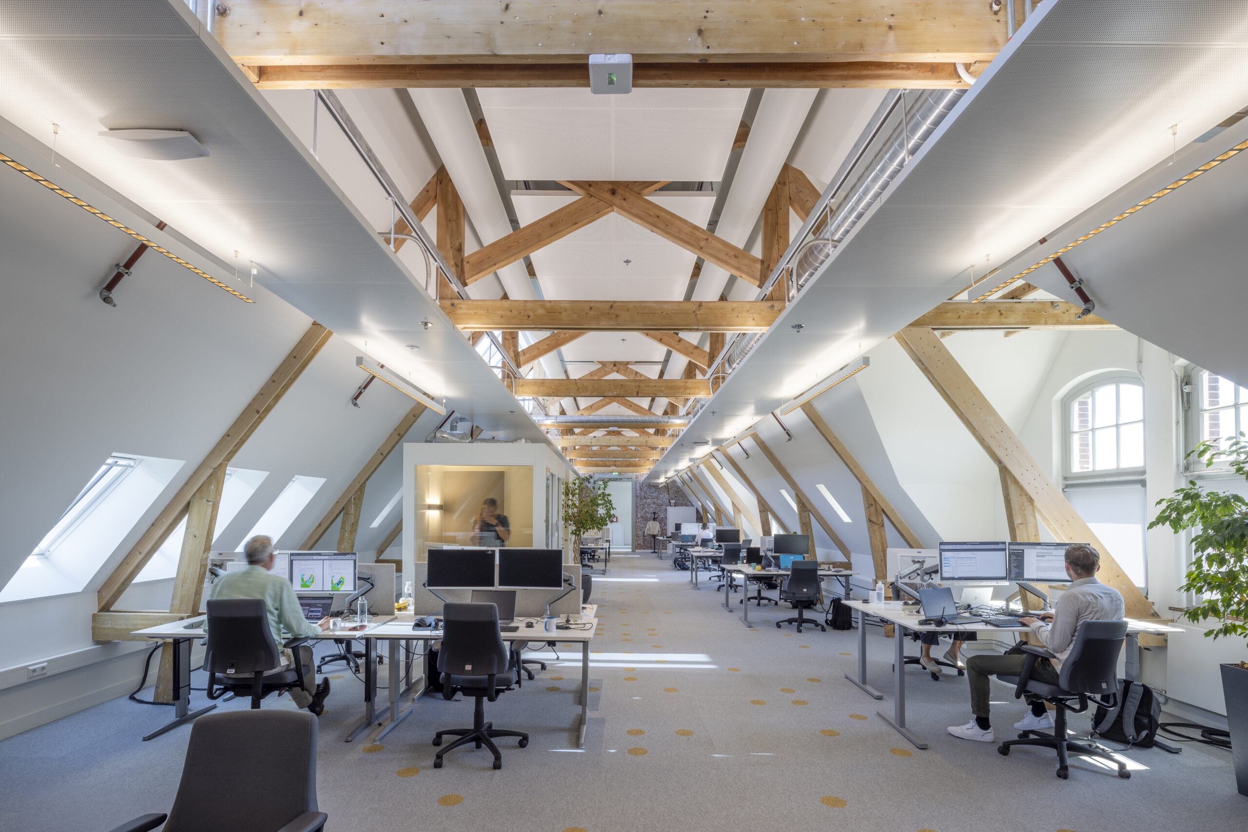 Werkplekken in een kantoortuin. Beeld door Lucas van der Wee