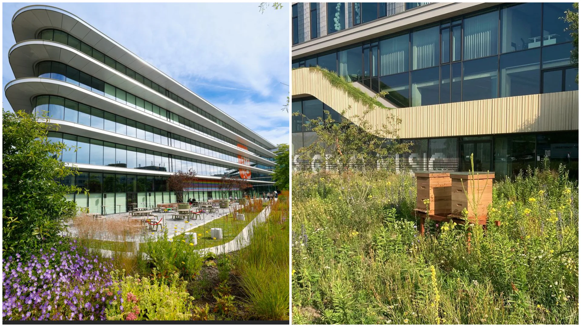 Zo kun jij als FM'er bijdragen aan biodiversiteit