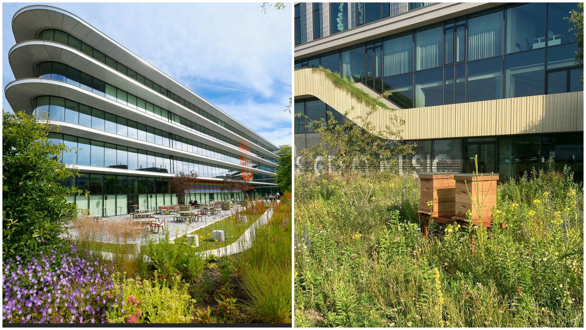 Het ING-hoofdkantoor in Amsterdam (links) en bijenkasten bij het kantoor van DPG Media.