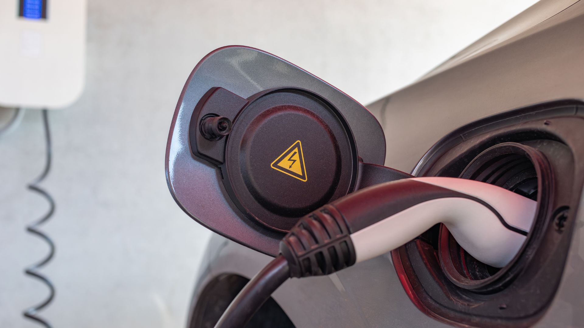 Beeld via Shutterstock.com