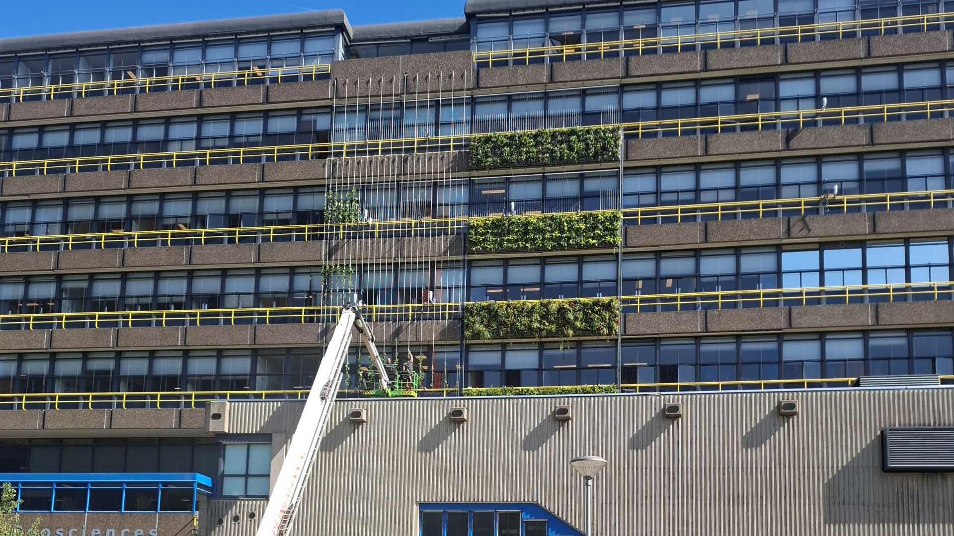 De groene gevel in wording bij de TU Delft. Beeld door TU Delft / Henri van Bennekom en Marc Ottelé