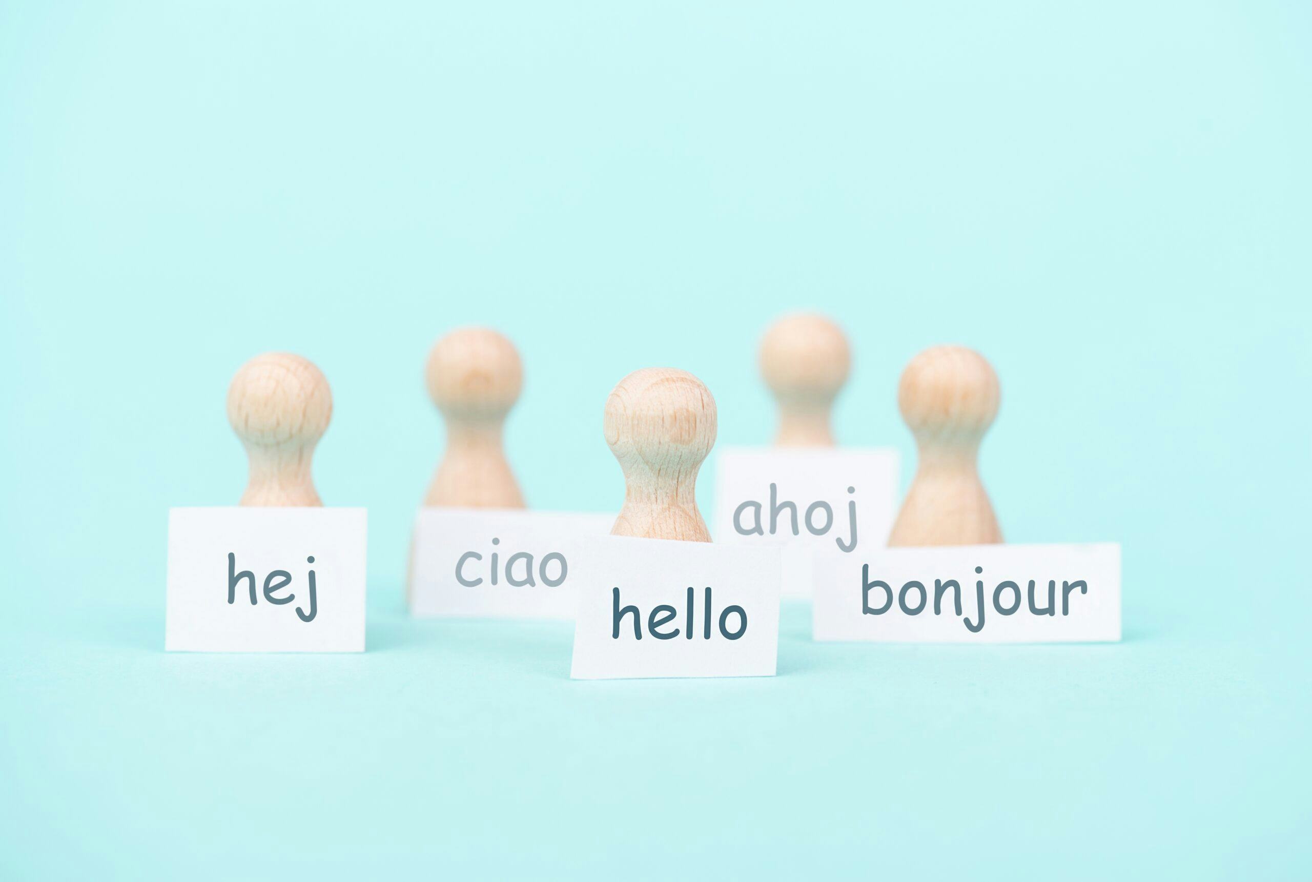 VSR: Taal op de werkvloer sleutel tot verbinding, veiligheid en succes