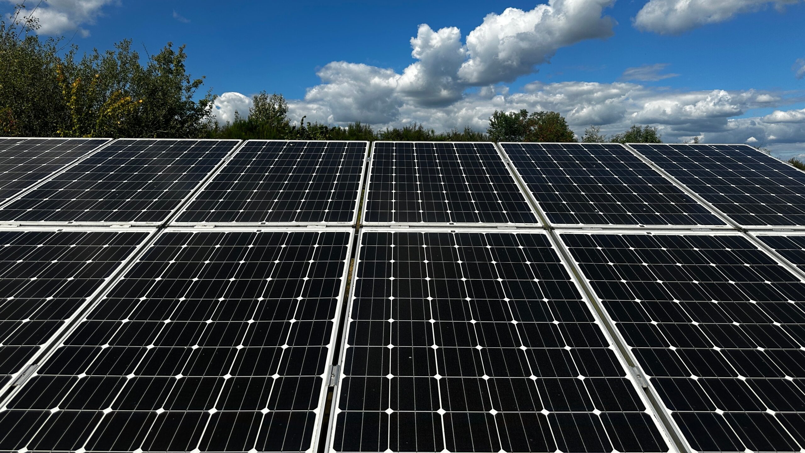 Beeld: Alonia/Shutterstock