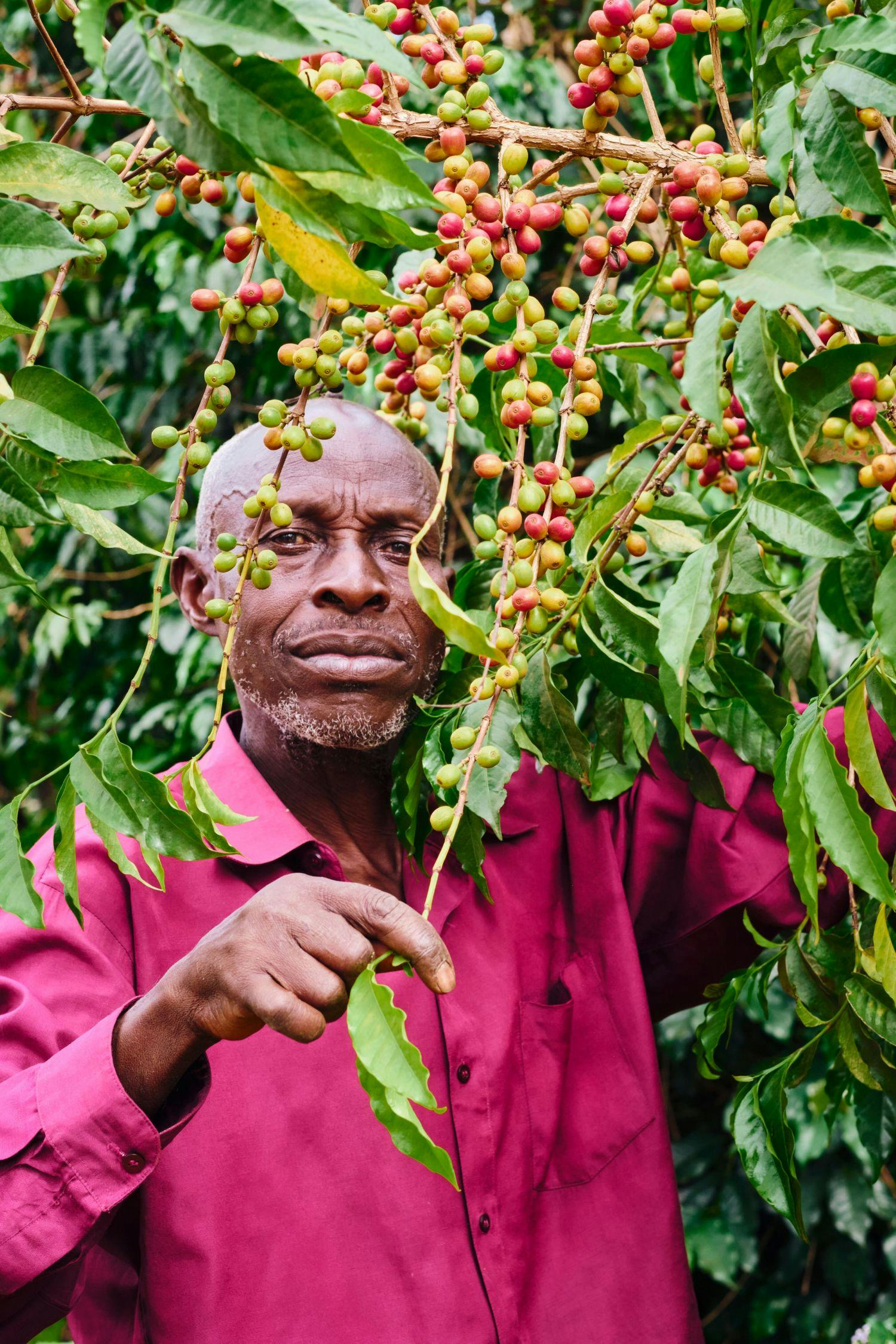 Fairtrade strijdt voor eerlijke handel.