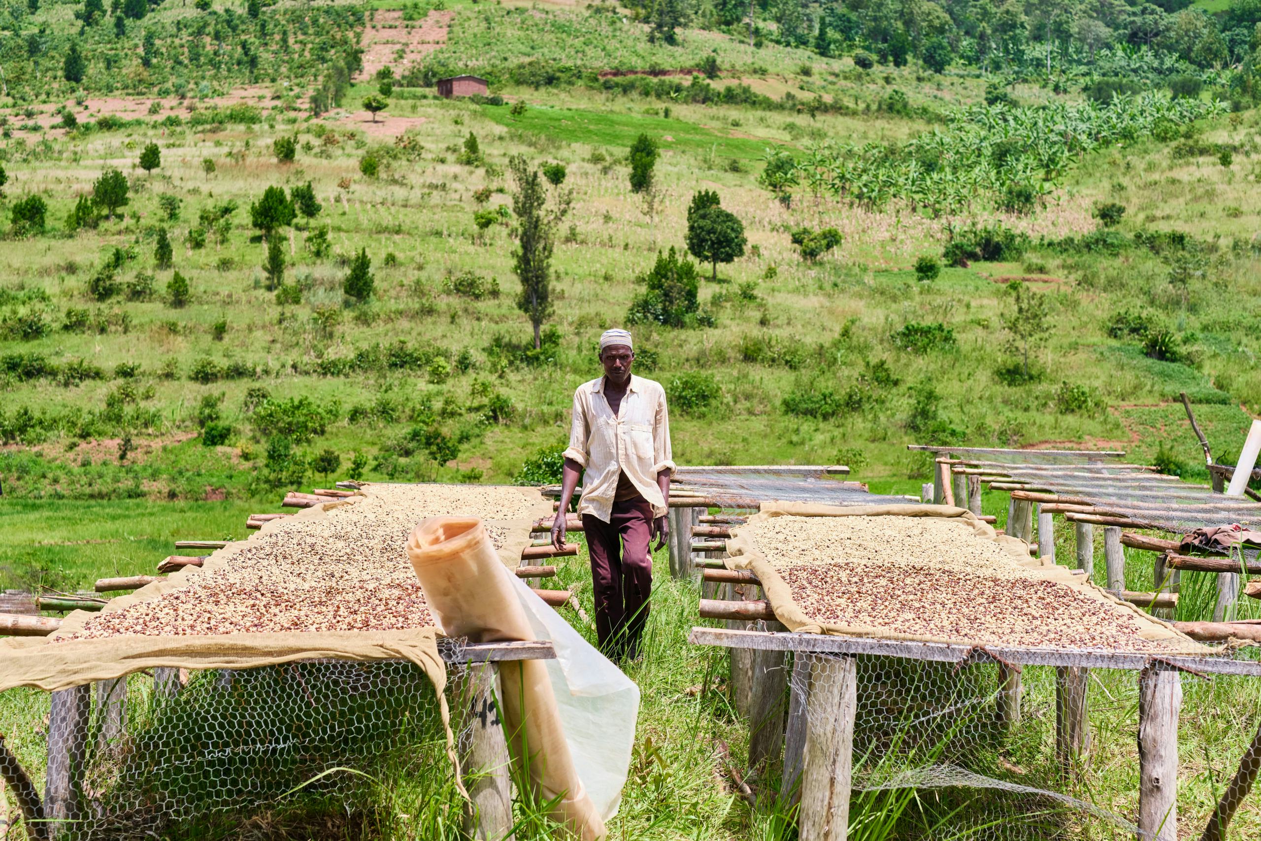 Pure Africa wil met elke kop koffie bijdragen aan een leefbaar inkomen.