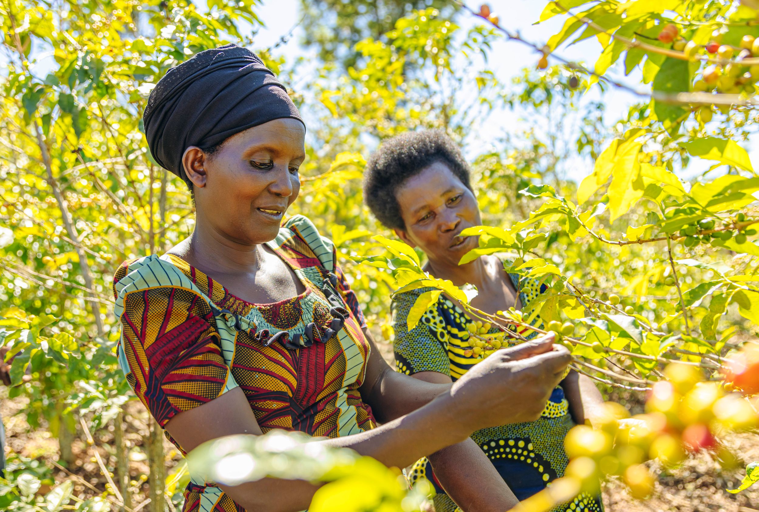 Een sterk verhaal over goede koffie