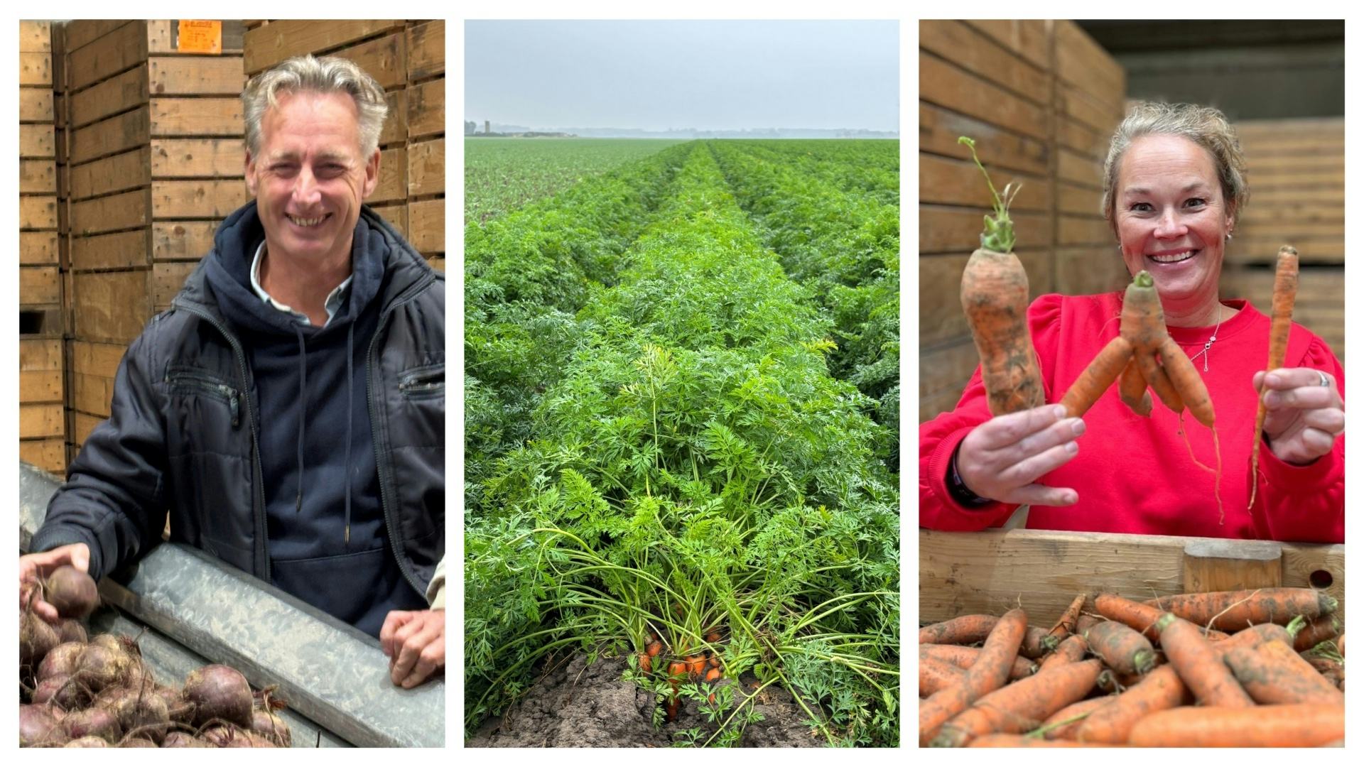 Rob Klinkert (PwC) en Christel Simmelink (ISS) op bezoek bij een regeneratieve boer Cornelis