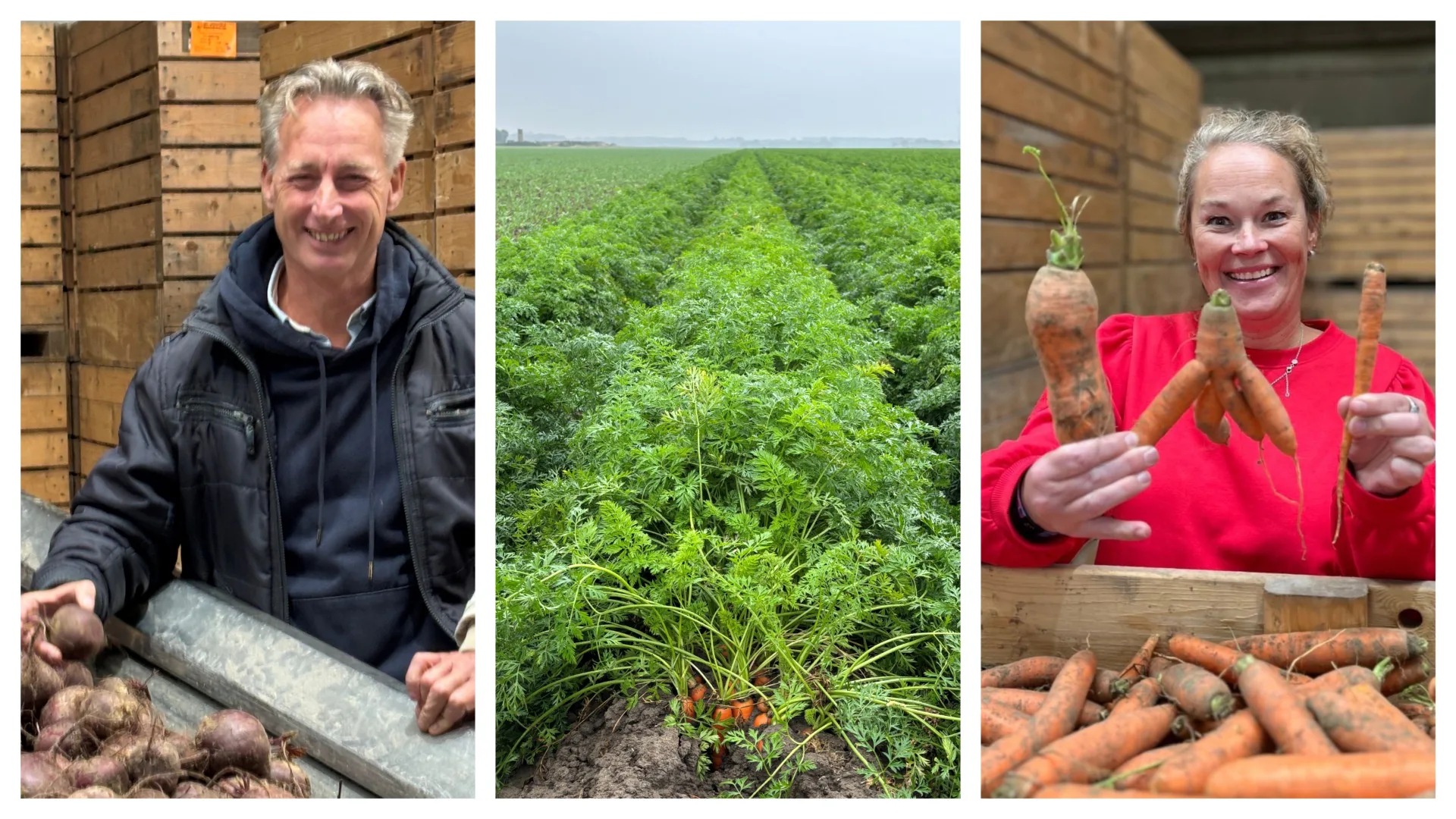 Klinkert (PwC) en Simmelink (ISS) over regeneratief: na klein feestje nu volle focus op volumes